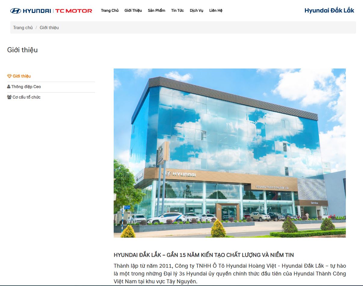 thiet ke website salon oto