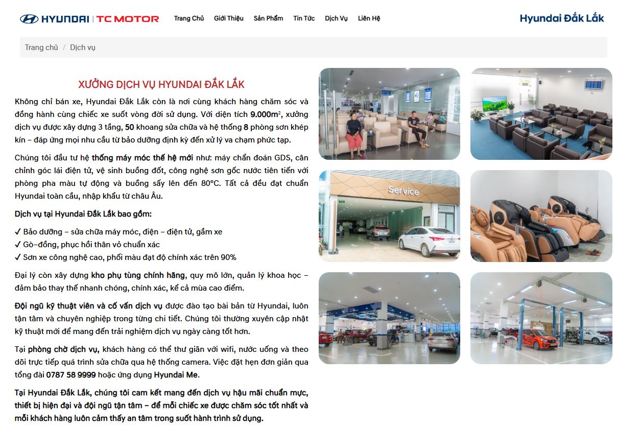 thiet ke website salon oto